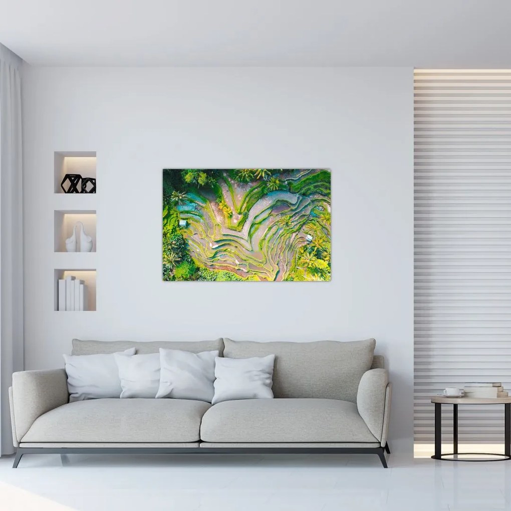 Tablou cu lanuri de orez din privire de sus (90x60 cm)