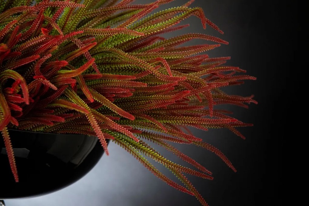 Aranjament floral mediu design LUX ANASTASIA SLIMPINE