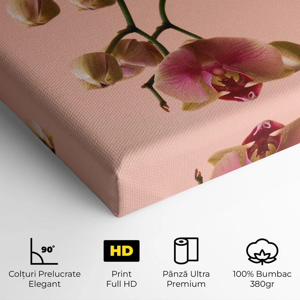 Tablou Canvas, 20x30cm, Dormitor si Living, Flori, Orhidee, Orchids On Pink