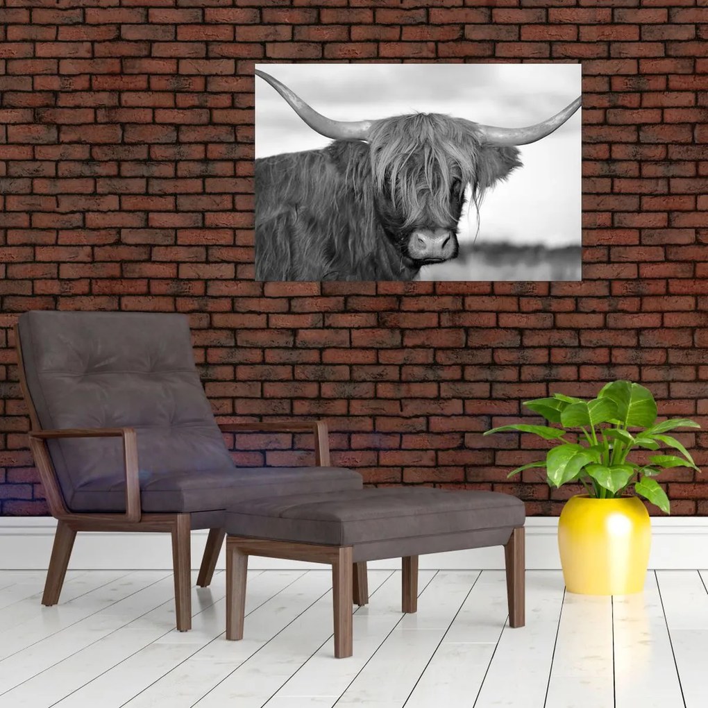 Tablou - Vacă scoțiană 2,alb-negru (90x60 cm)