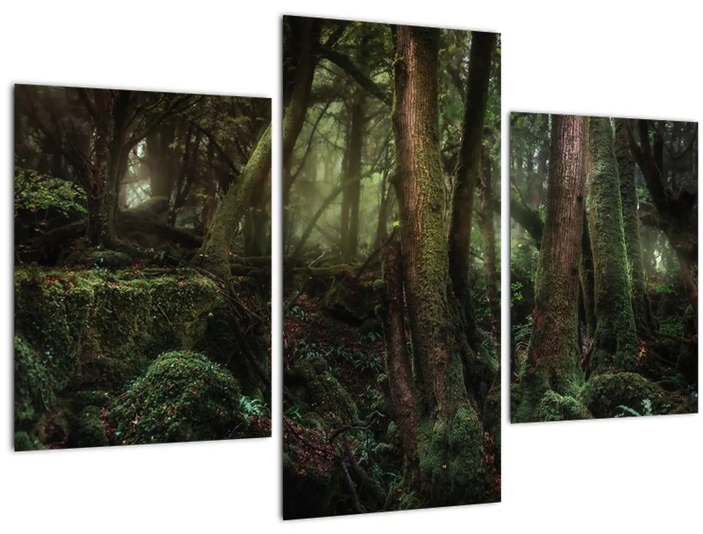 Tablou - Pădurea enigmatică (90x60 cm)