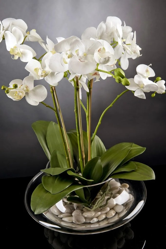 Aranjament floral LIGHT ATOLLO 3 PHALENOPSIS BIG 1141375.95