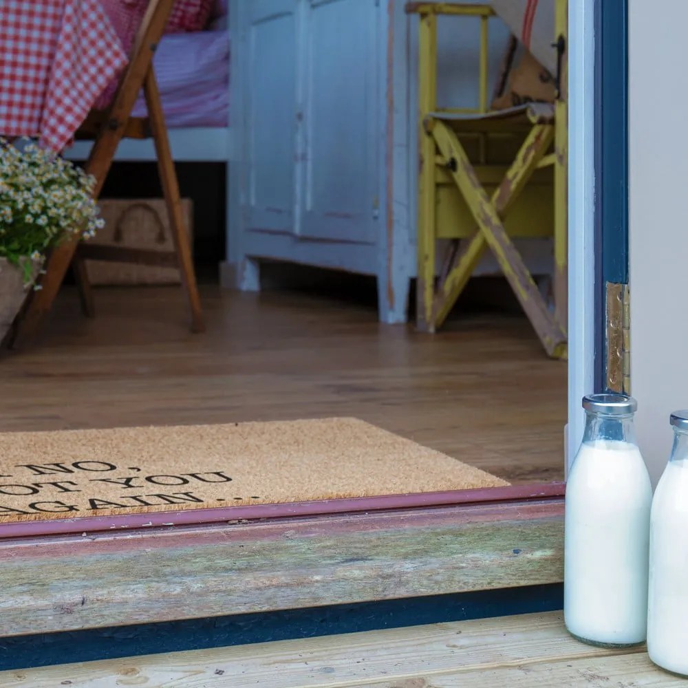 Covoraș de intrare din fibre de nucă de cocos 40x60 cm Oh No Not You Again – Artsy Doormats