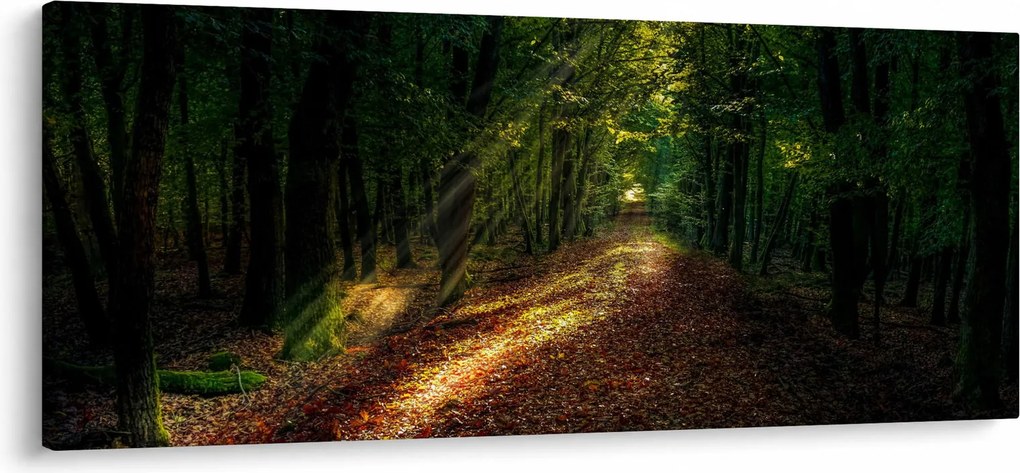 Tablou cu poteca prin pădure (120x50 cm)