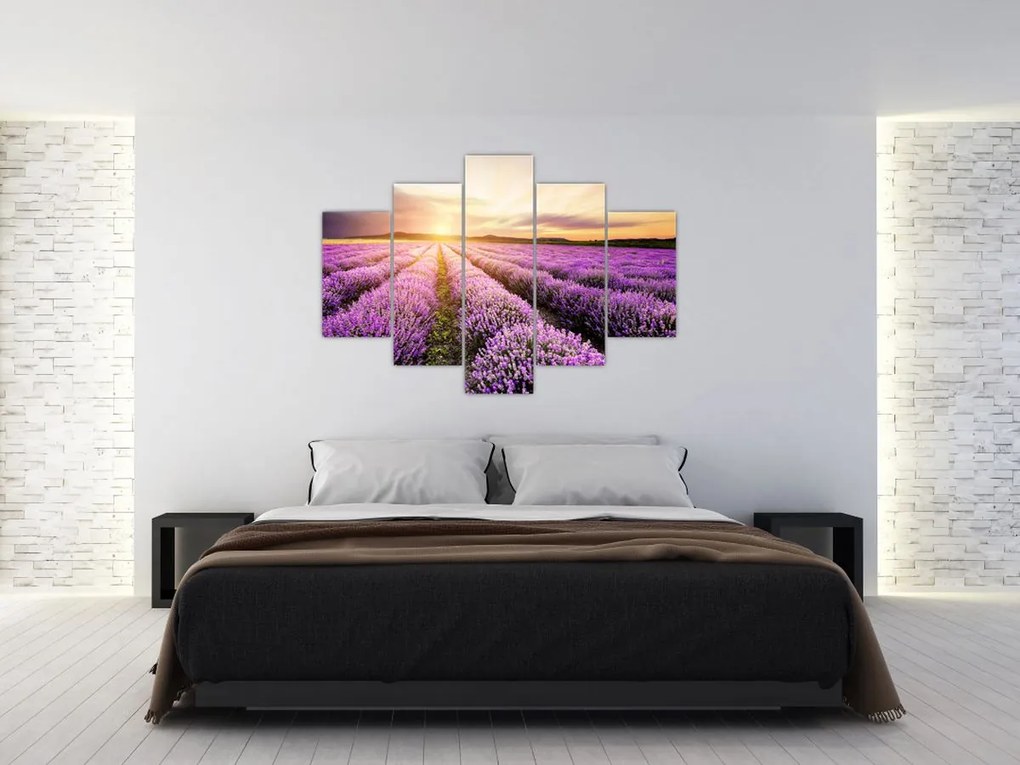 Tablou - Răsărit de soare în câmp de lavandă (150x105 cm)