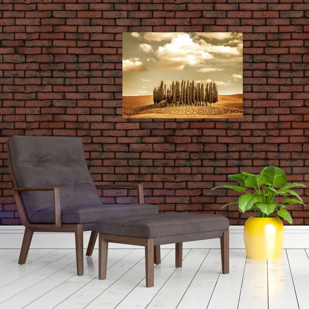 Tablou cu luncă (70x50 cm)