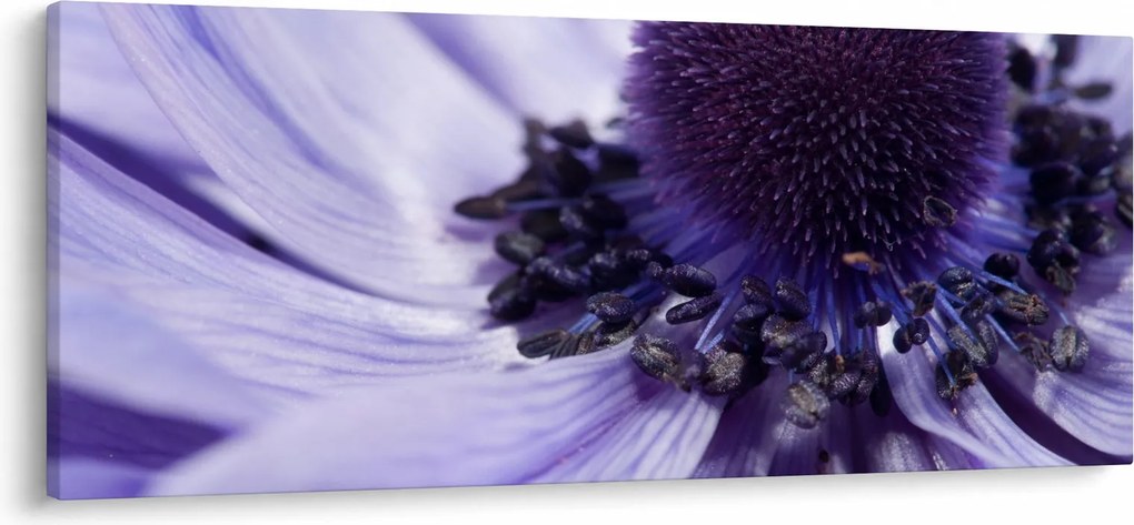 Tablou - Floare mov (120x50 cm)