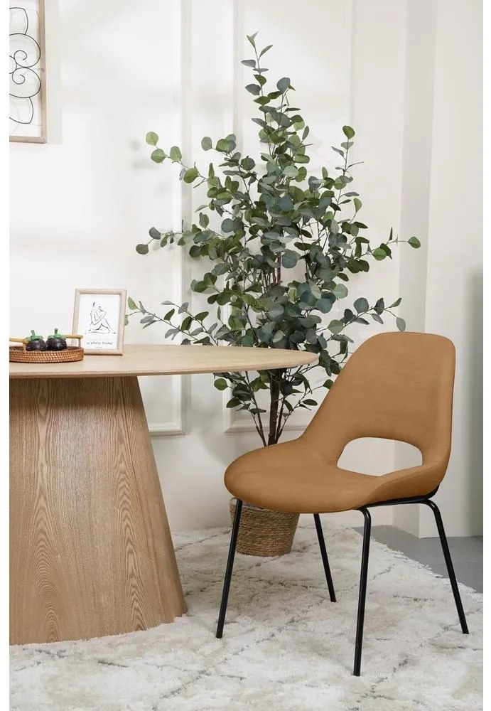 Scaun sufragerie Signale (miere). 1099151