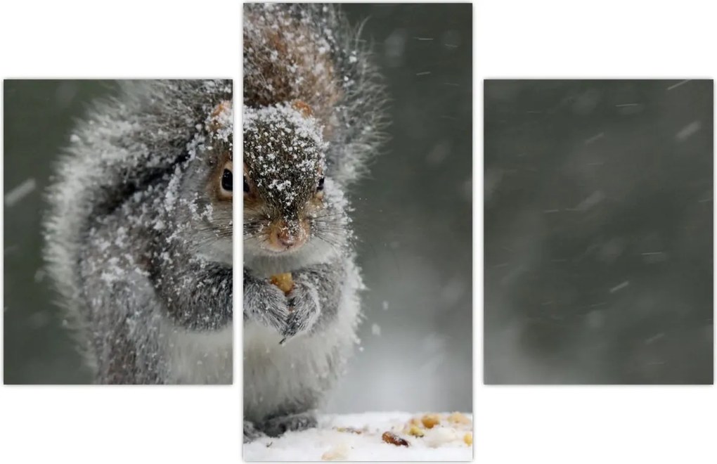 Tablou - Veveriță iarna (90x60 cm)