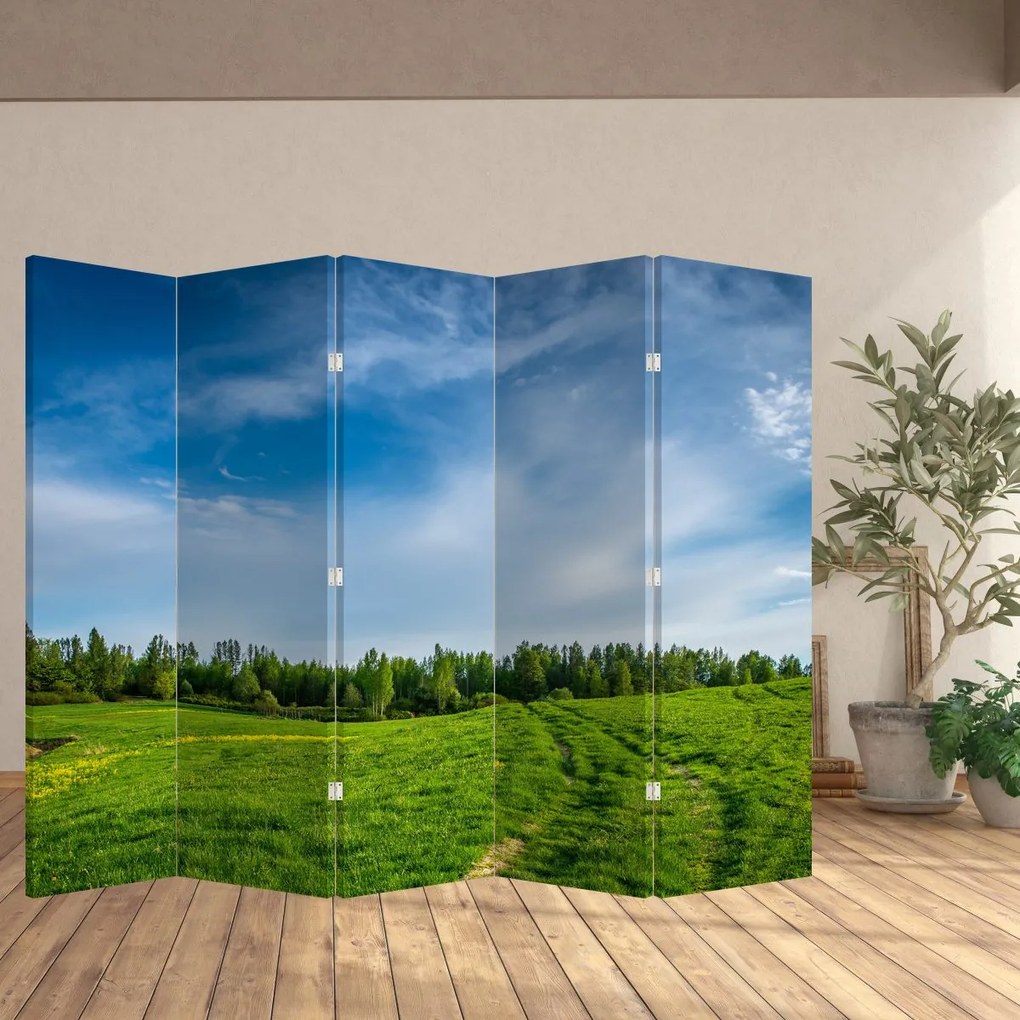 Paravan - Luncă (210x170 cm)