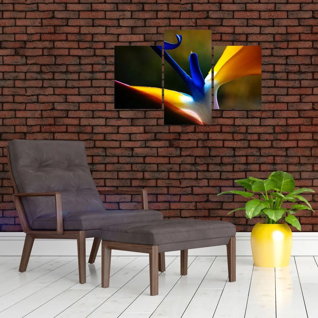 Tablou - Floare exotică (90x60 cm)