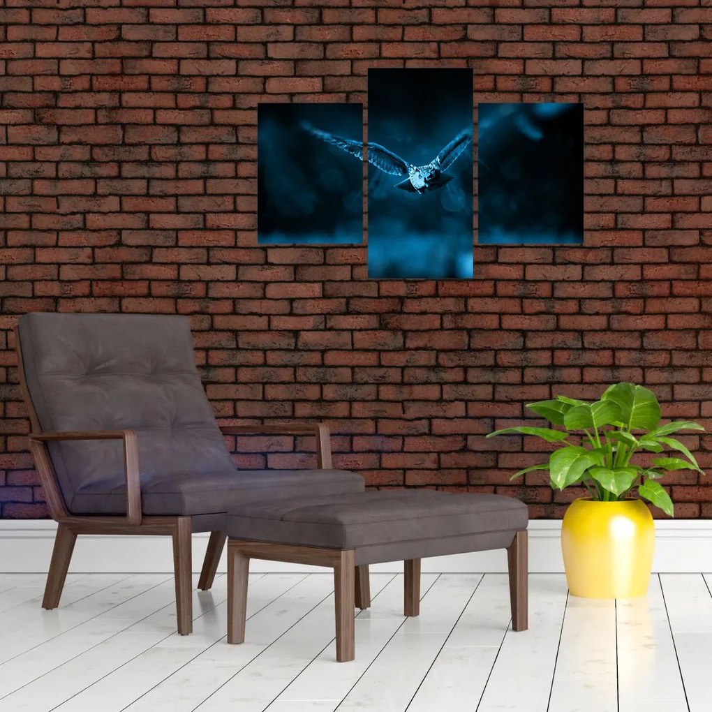 Tablou cu bufnița zburând (90x60 cm)