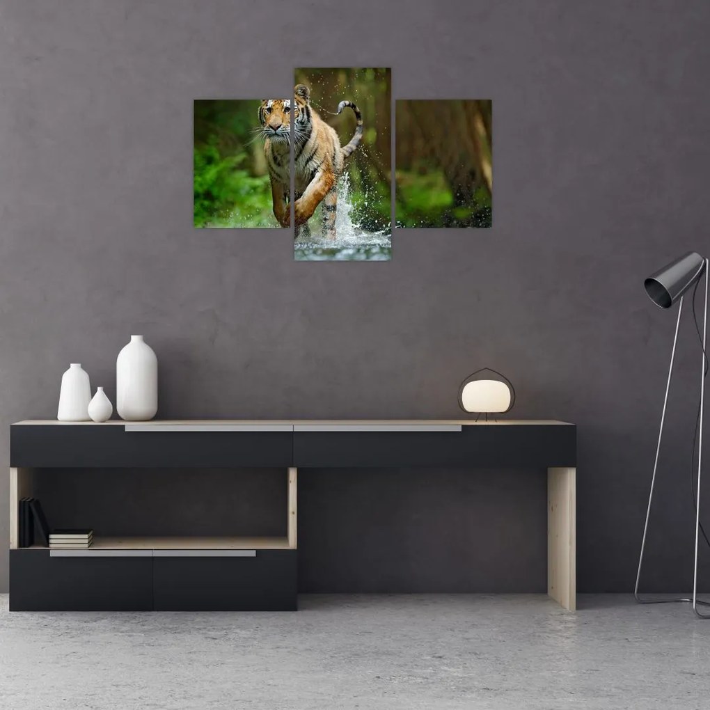 Tablou cu trigrul fugind (90x60 cm)