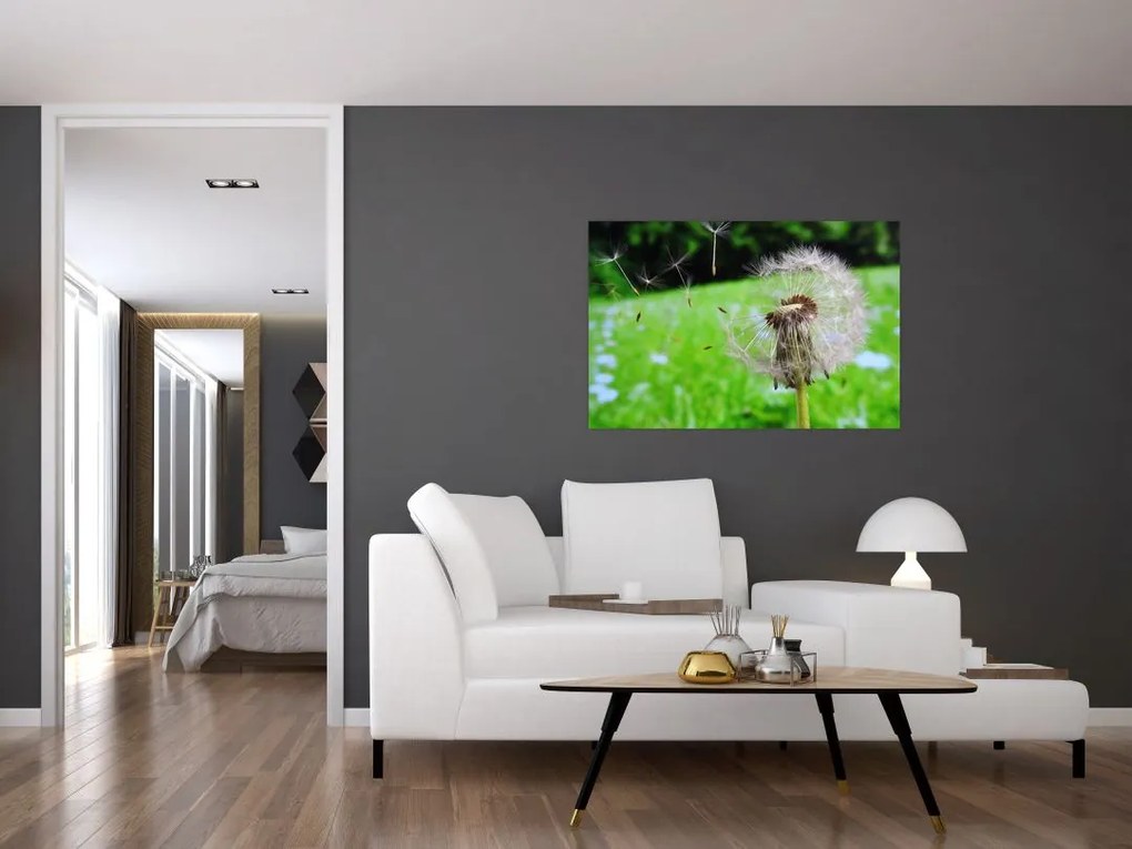 Tablou cu păpădie (90x60 cm)