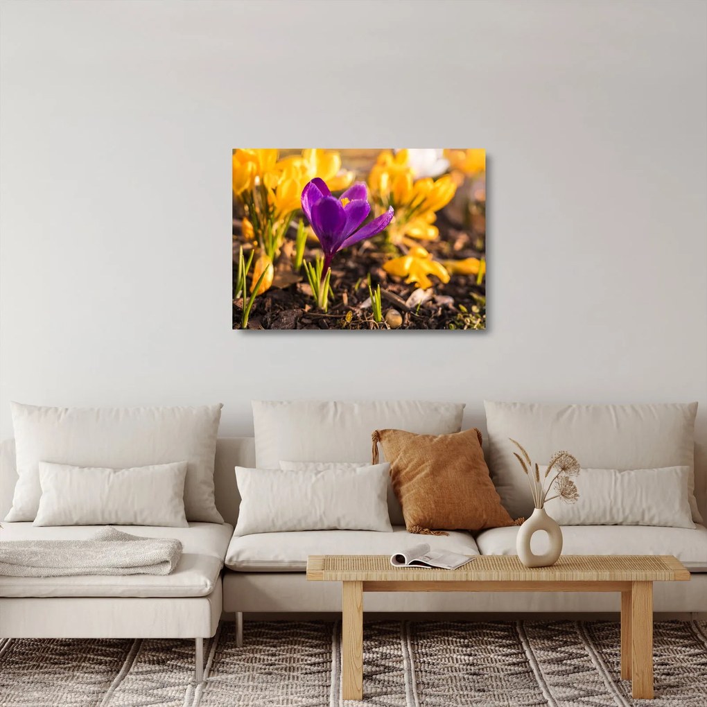 Tablou pe sticlă cu floare violetă (70x50 cm)