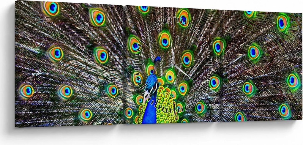 Tablou - Păun (cu ceas) (90x30 cm)