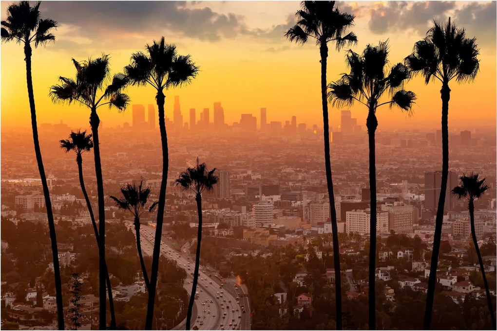 Tablou - Panorama din Los Angeles (90x60 cm)