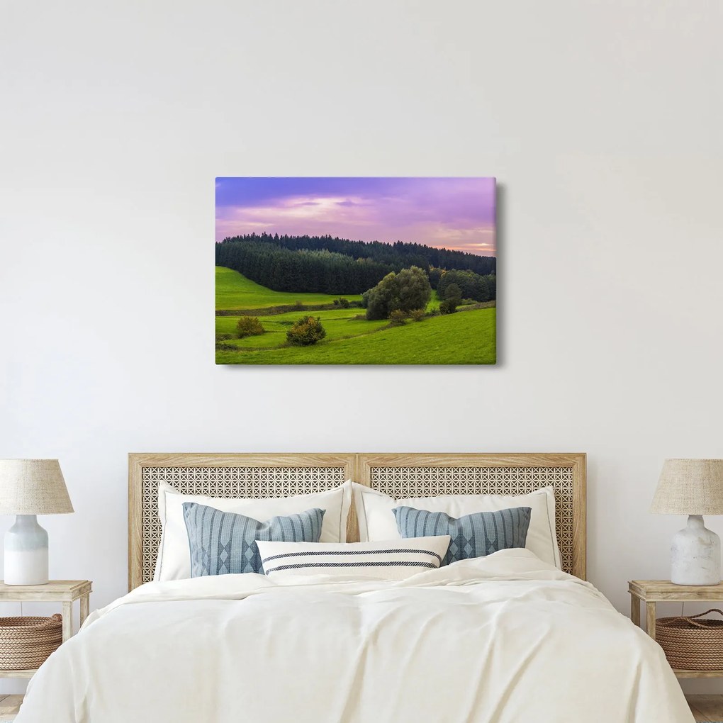 Tablou cu lunca (90x60 cm)