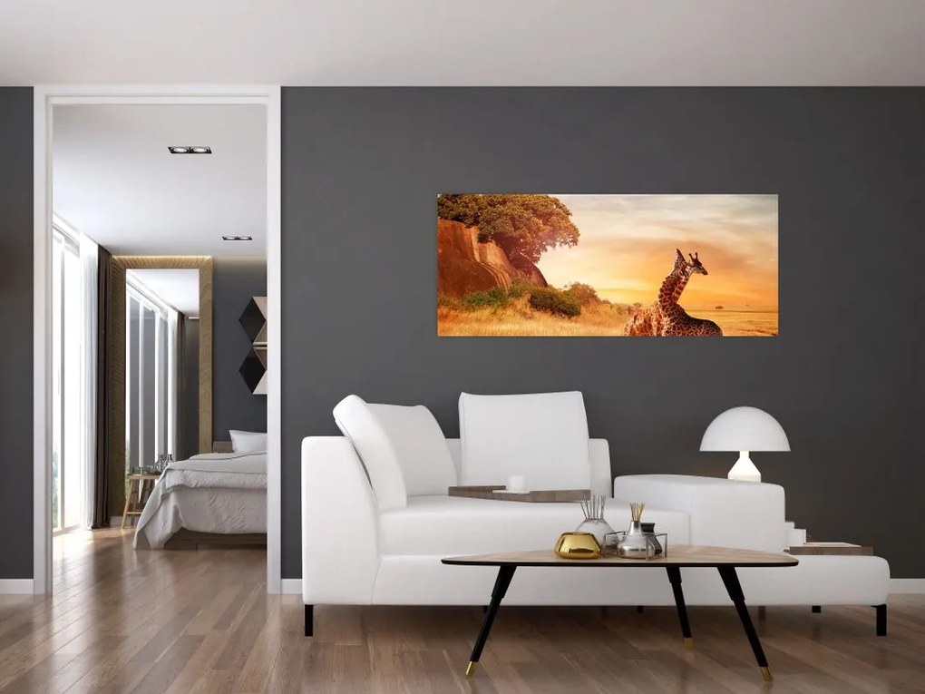 Tablou Girafe în Africa (120x50 cm)