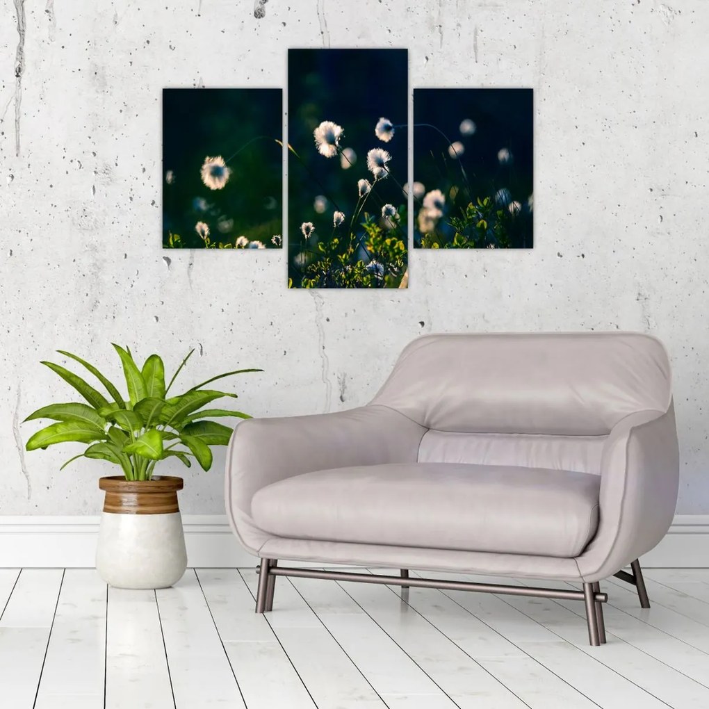 Tablou - Iarbă (90x60 cm)