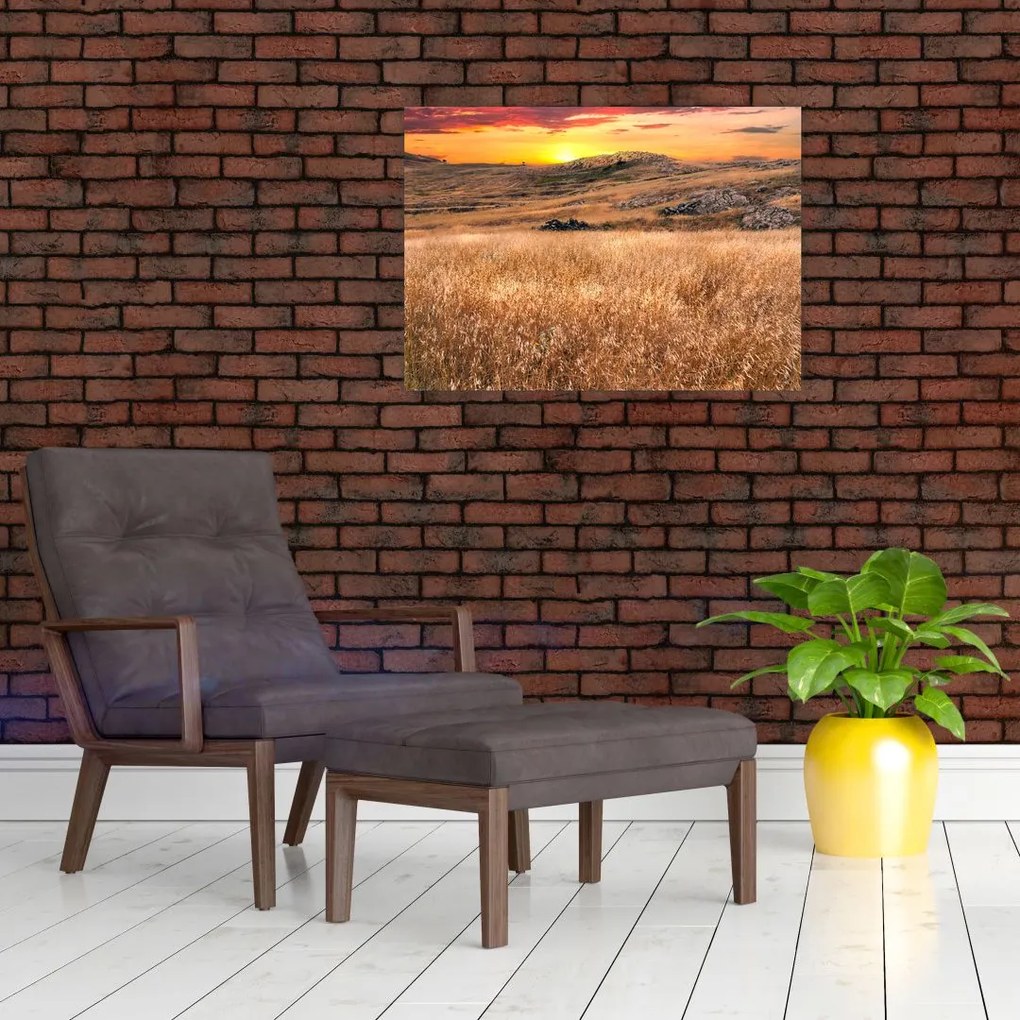 Tablou cu câmp (70x50 cm)