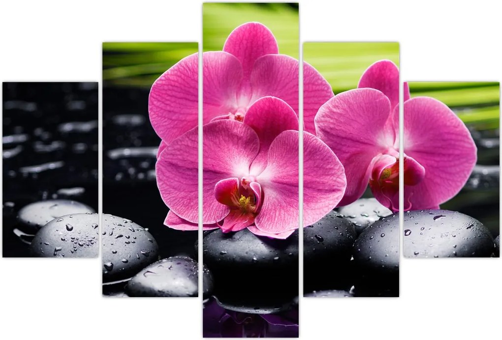 Tablou - Orhidee roz cu frunze de palmier (150x105 cm)