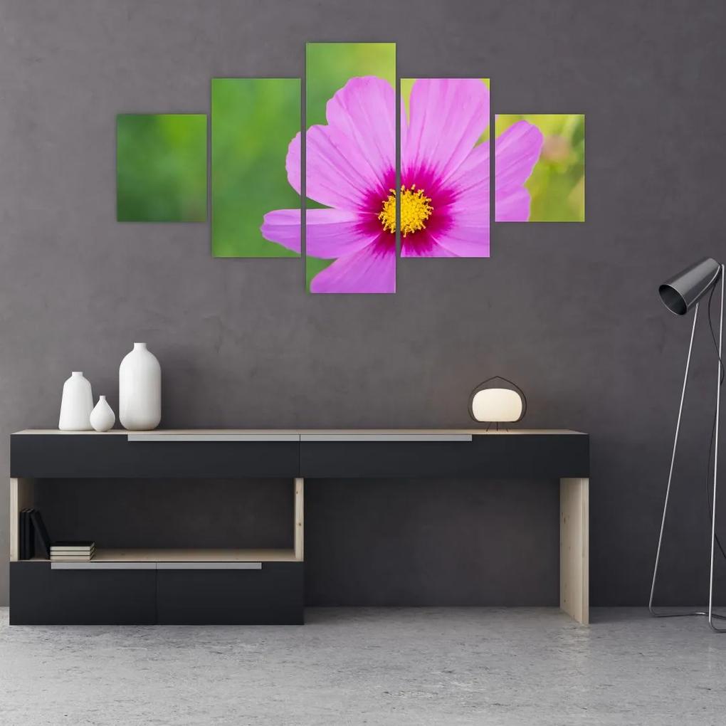 Tablou - floare de câmp (125x70 cm), în 40 de alte dimensiuni noi