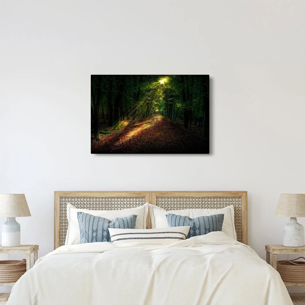 Tablou cu poteca prin pădure (90x60 cm)