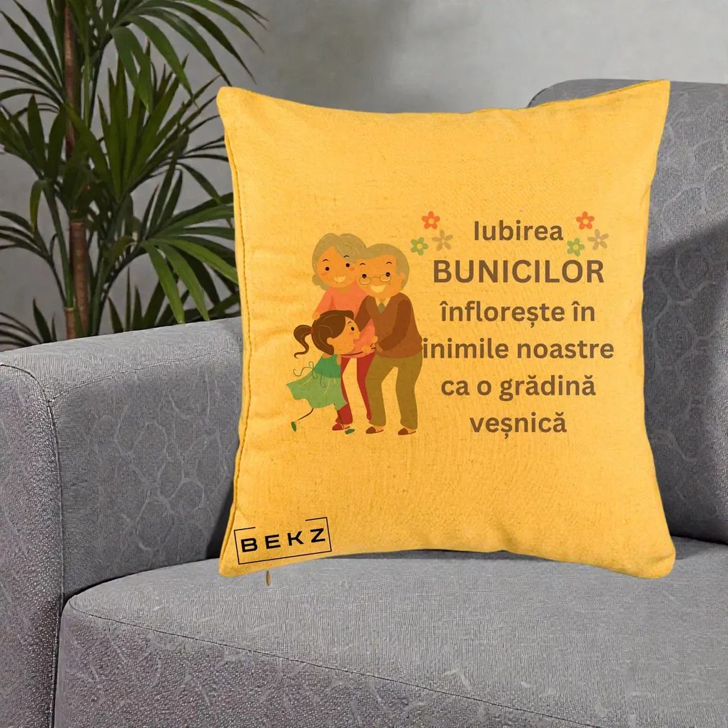 Cadou pentru Bunici - Perna Personalizata Bunicii Iubirea Infloreste Bunici cu Nepoata Colorat, 40x40 cm, Galben, Husa Detasabila, Perna Inclusa, BEKZ®