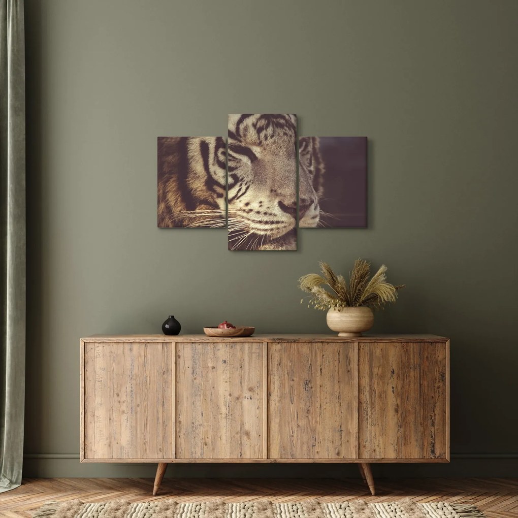 Tablou cu tigrul (90x60 cm)