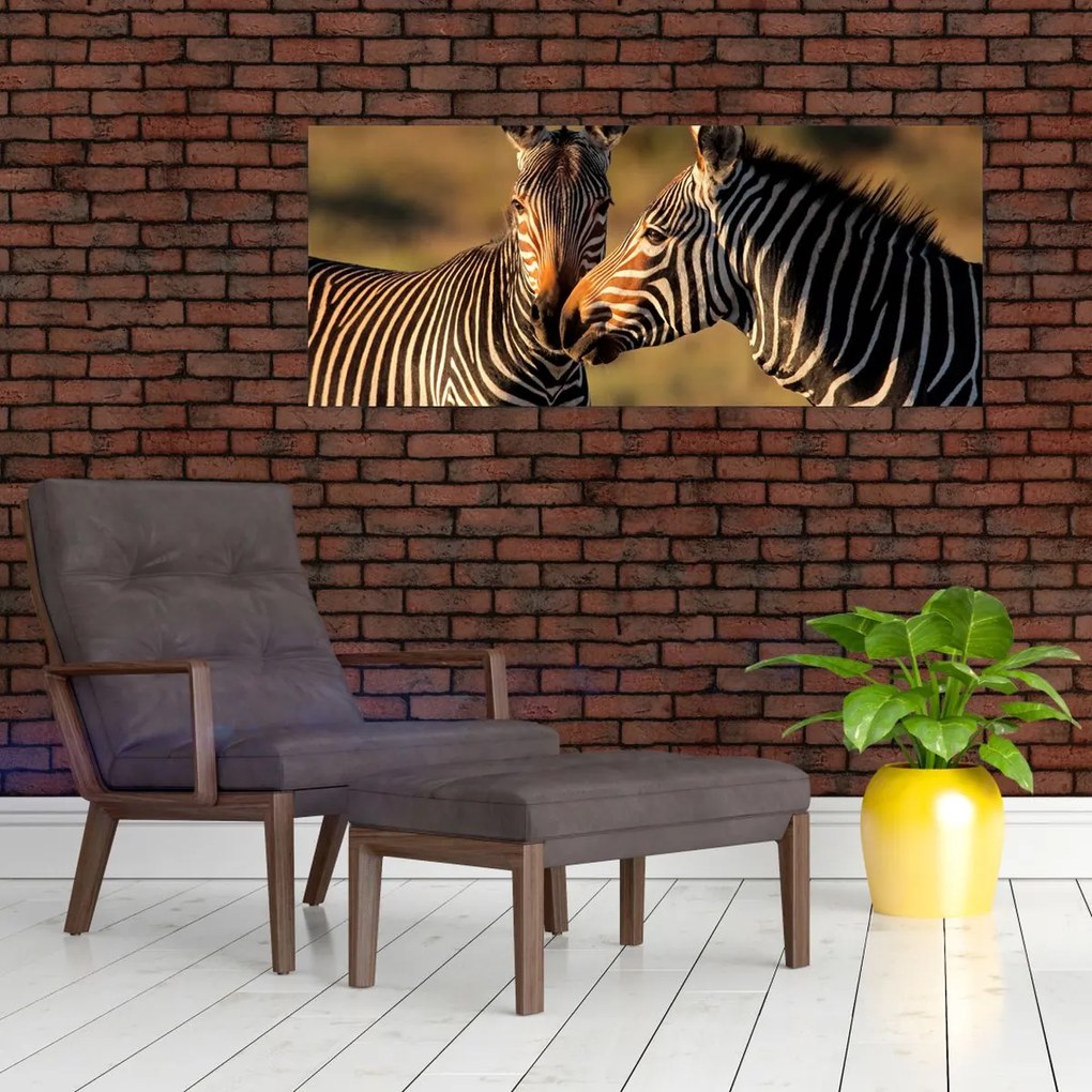 Tablou - Două zebre (120x50 cm)