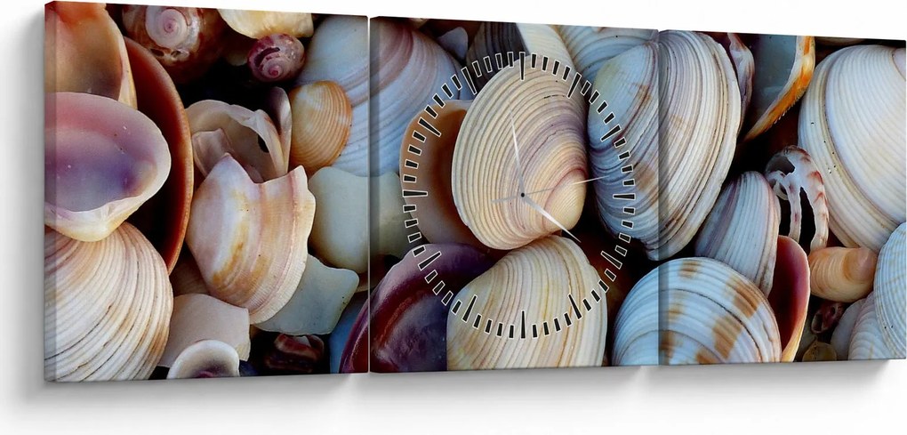 tablou cu scoici (cu ceas) (90x30 cm)