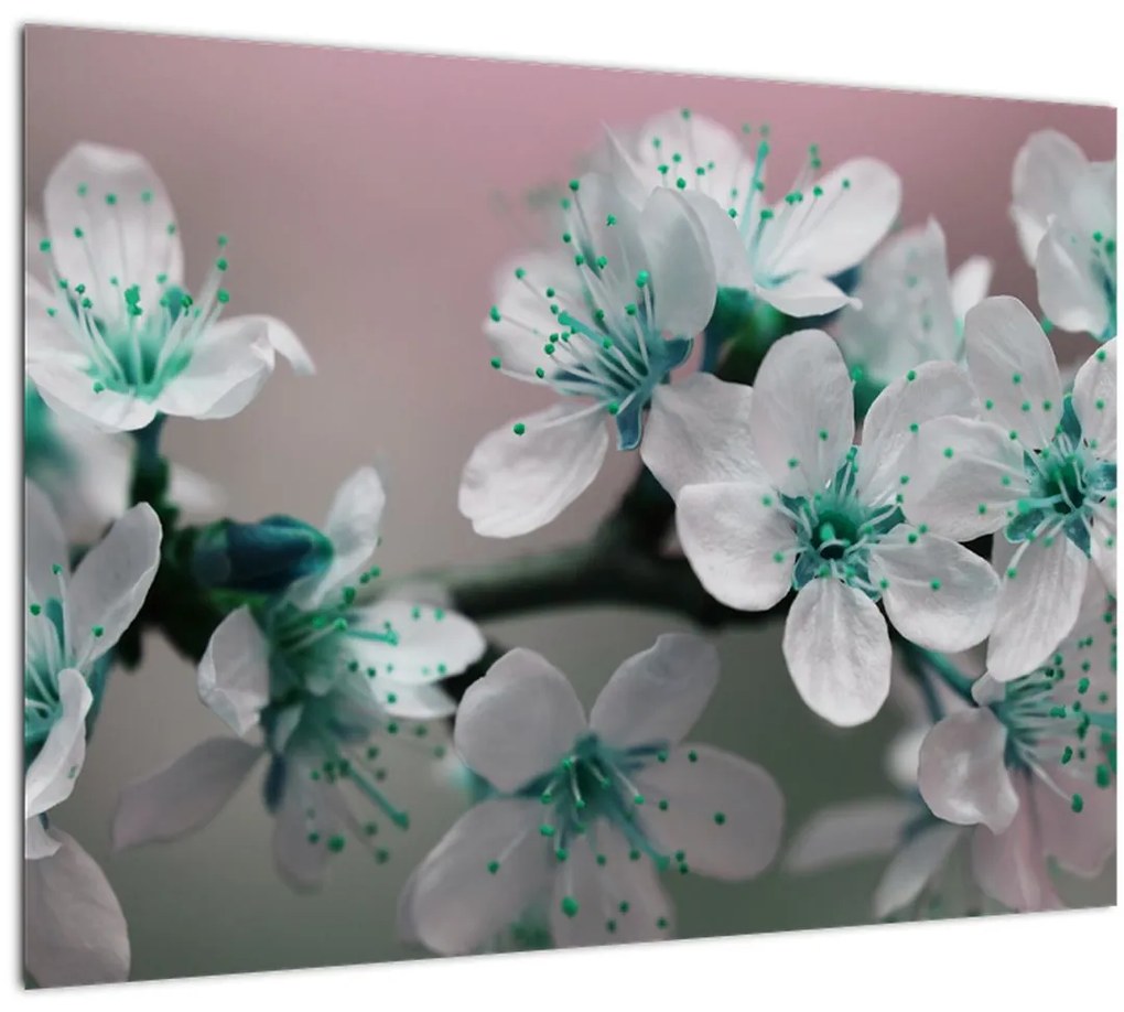 Tablou cu floare - turcoaz (70x50 cm)