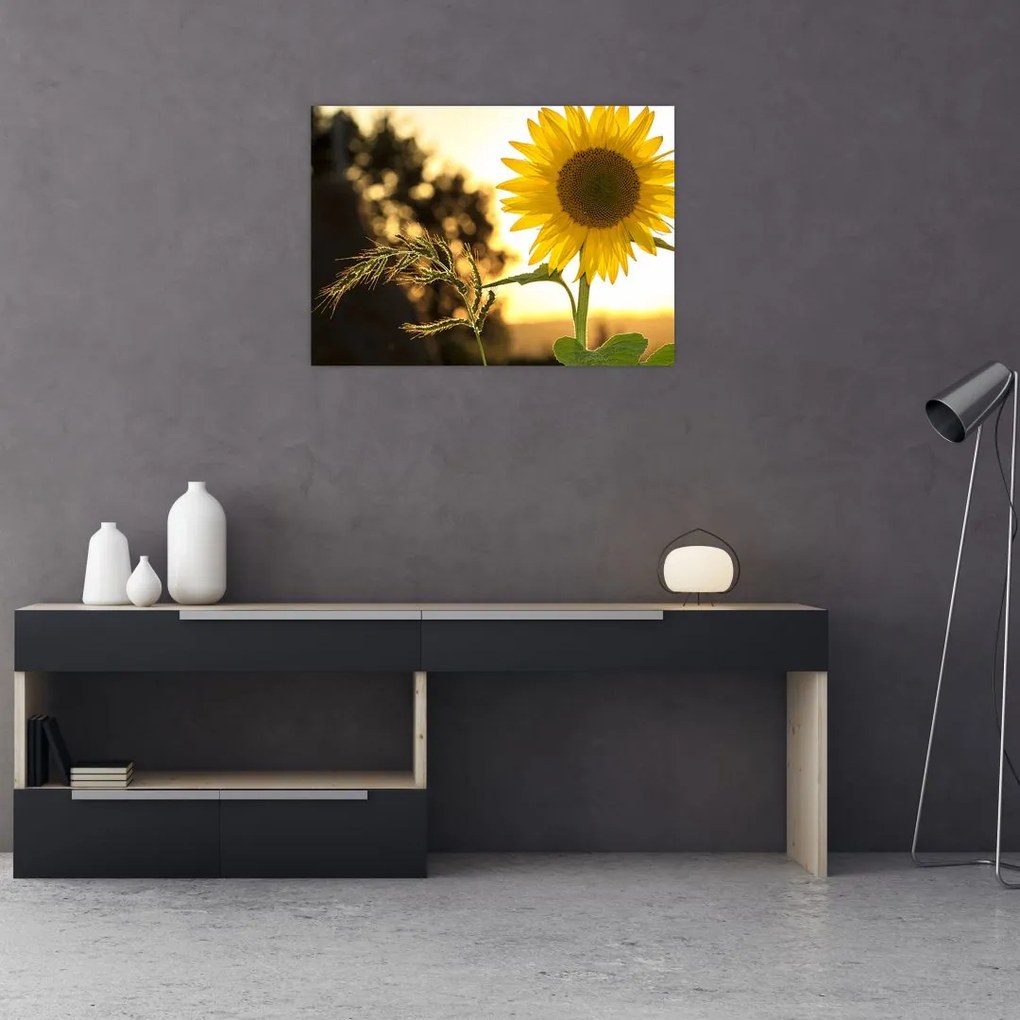 Tablou pe sticlă cu floarea soarelui (70x50 cm)
