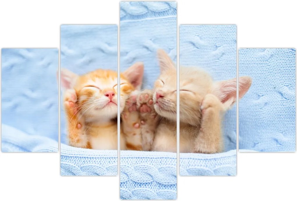 Tablou - Pisicuțe adormite (150x105 cm)