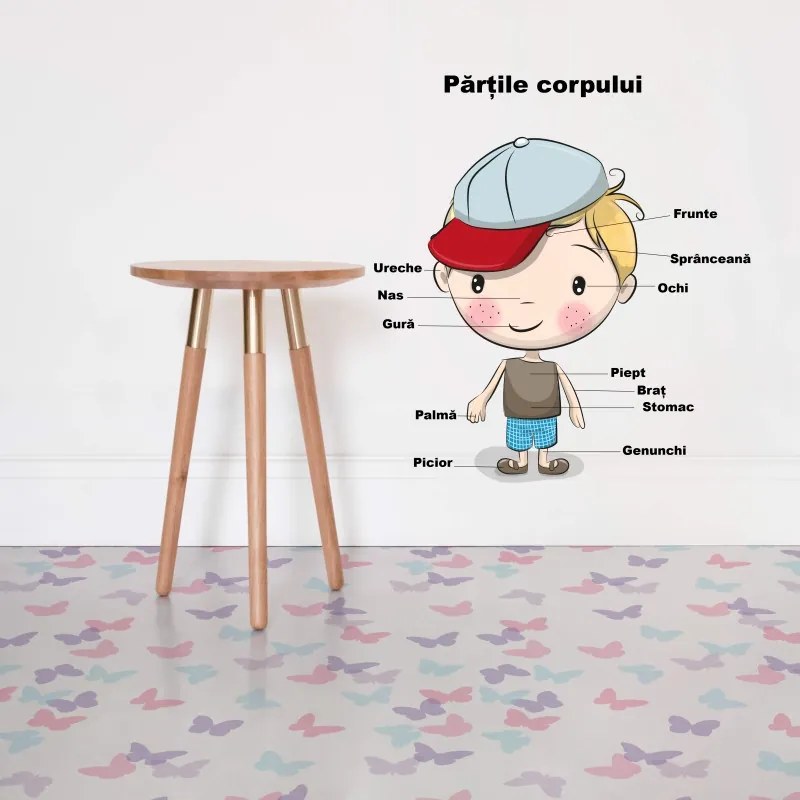 Sticker perete Partile Corpului Omenesc