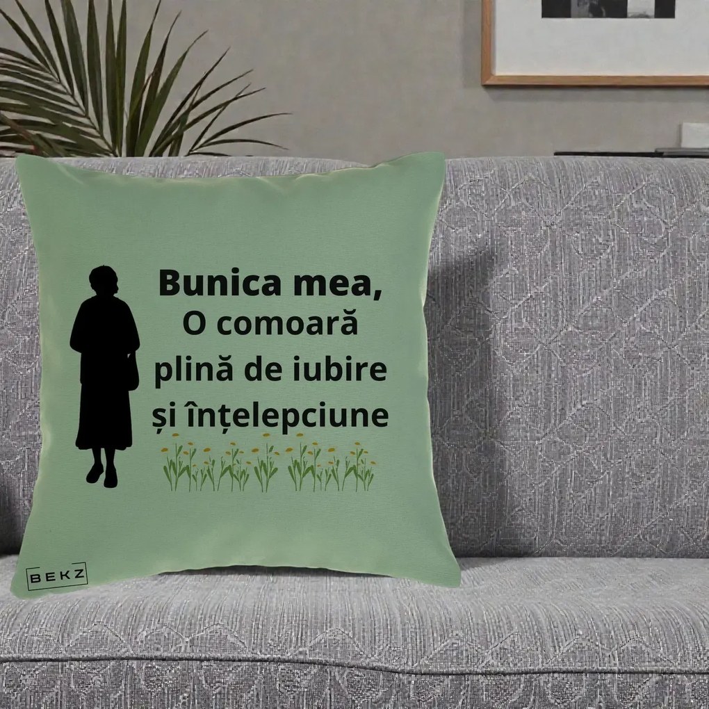 Cadou pentru Bunica - Perna Personalizata Bunica Mea Comoara Iubire Intelepciune Silueta cu Nepoata, 40x40 cm, Verde, Husa Detasabila, Perna Inclusa, BEKZ®