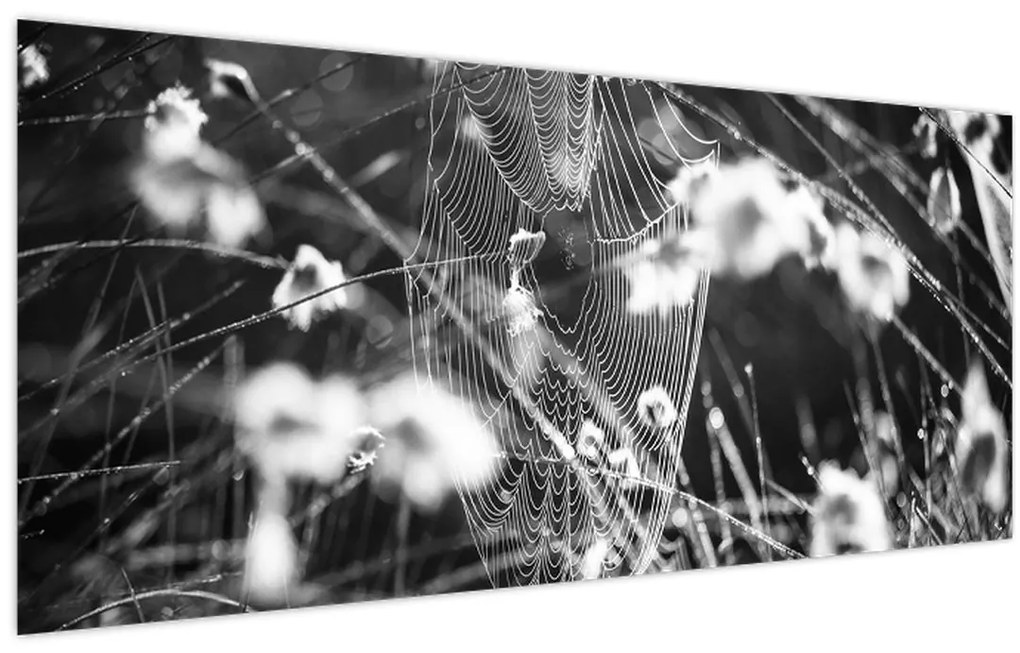 Tablou - Pânza de păianjen în pajiște (120x50 cm)