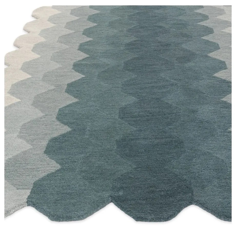 Covor albastru din lână 160x230 cm Hive – Asiatic Carpets