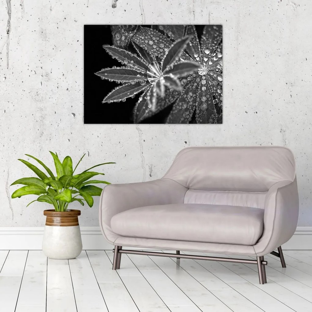 Tablou - Frunze cu picături (70x50 cm)