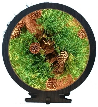 Li-Go 23654 - Decorațiune de masă LED dimabilă LED/12W/230V 20x22 cm mușchi