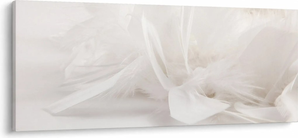 Tablou - Pană (120x50 cm)