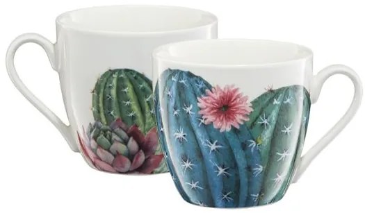 Cana Cactus 510 ml