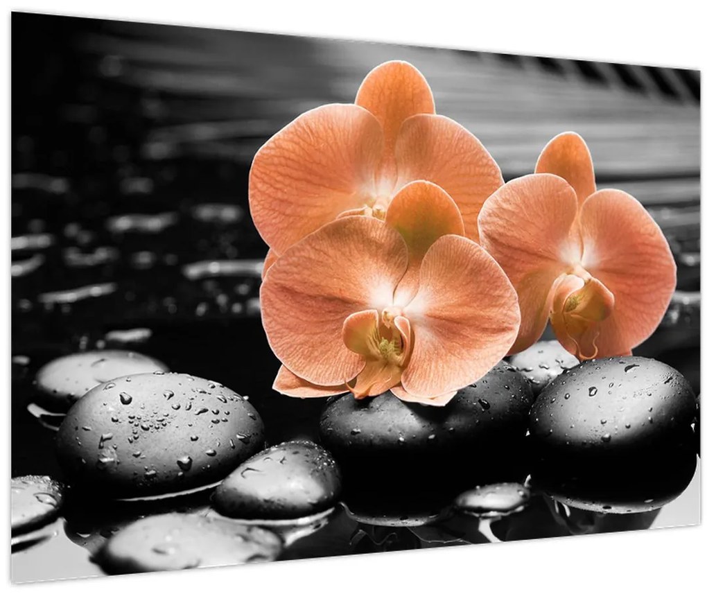 Tablou - Orhidee portocalii (90x60 cm)
