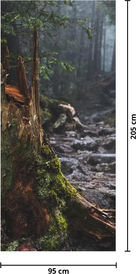 Fototapet pentru ușă - În pădure (95x205cm)