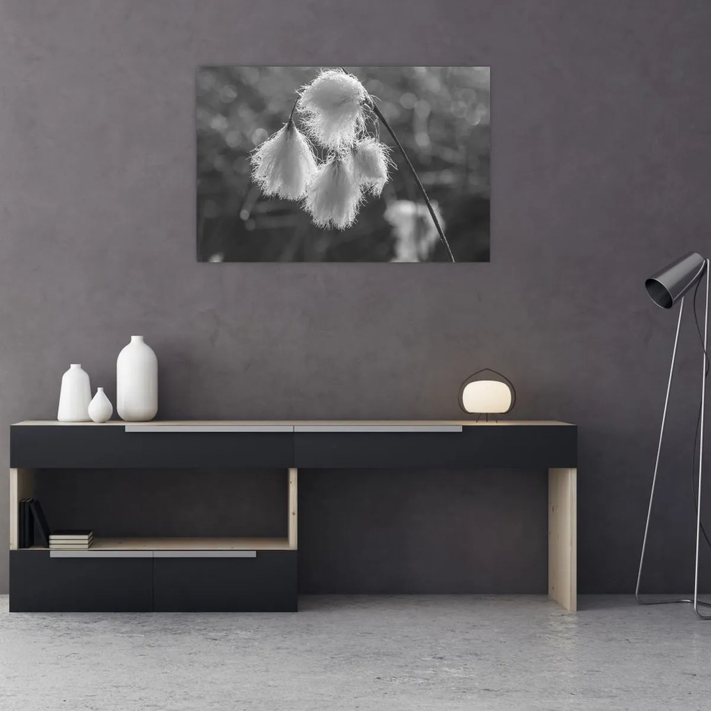 Tablou - Iarba de bumbac (90x60 cm)