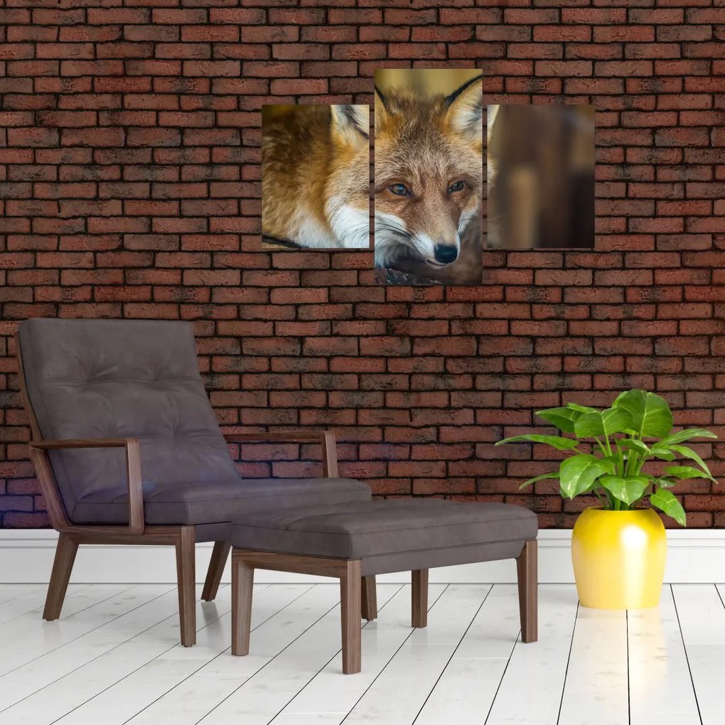 Tablou cu vulpe (90x60 cm)