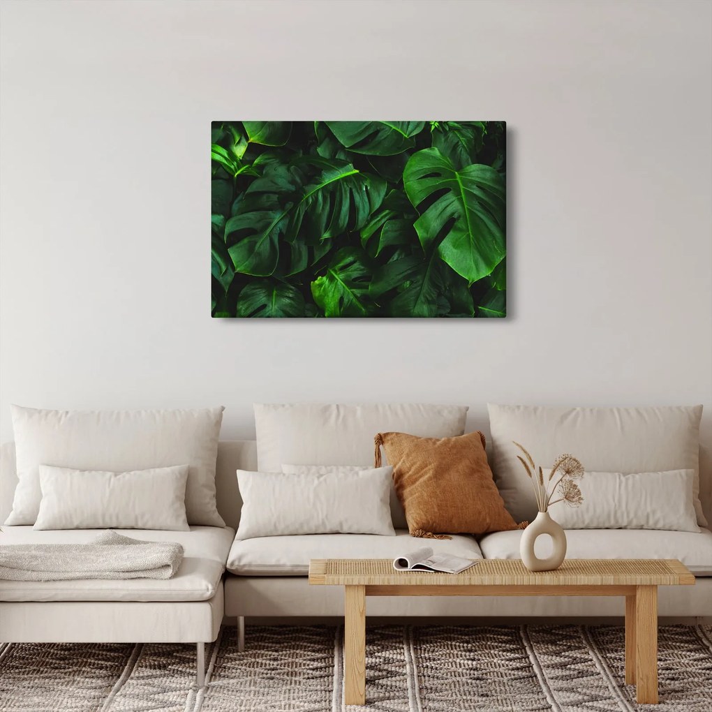 Tablou cu frunze Monstery (90x60 cm)