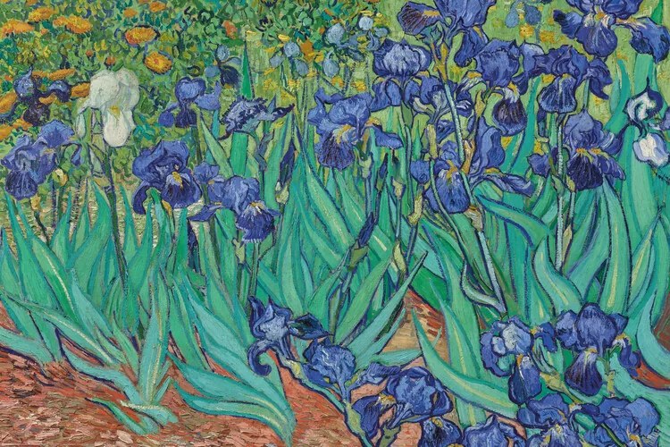 Poster Vincent van Gogh - Les Irises