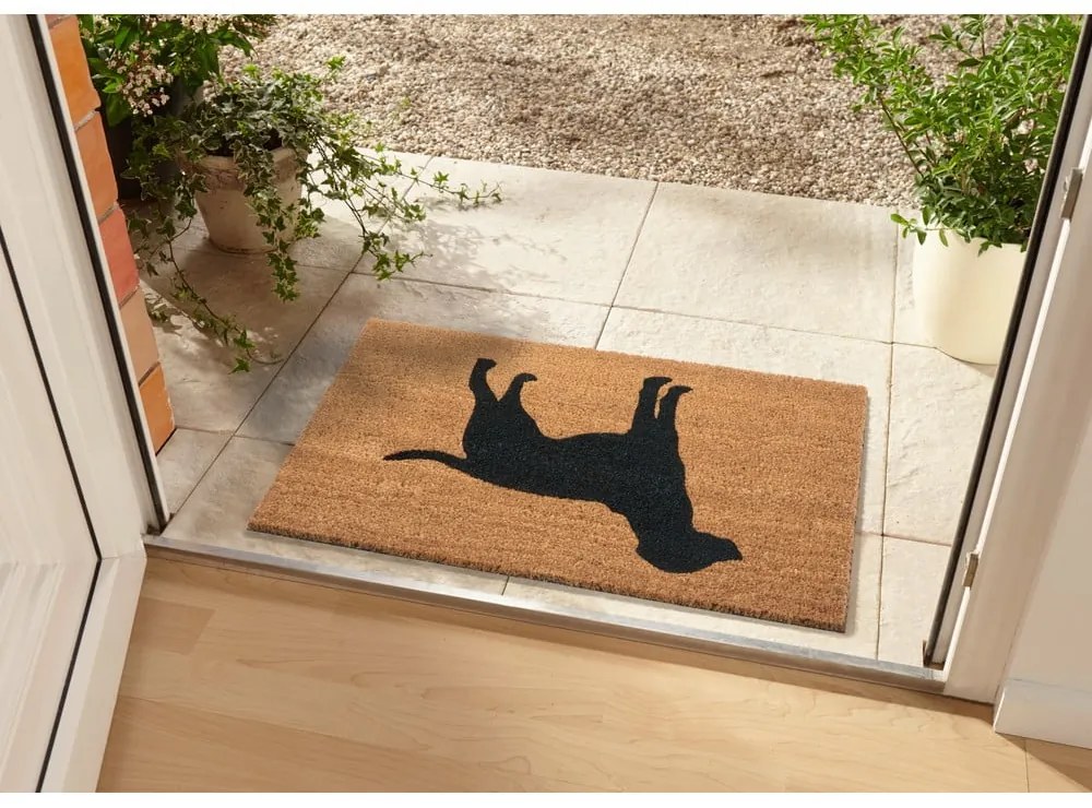 Covoraș de intrare 45x75 cm Mix Mats – Hanse Home